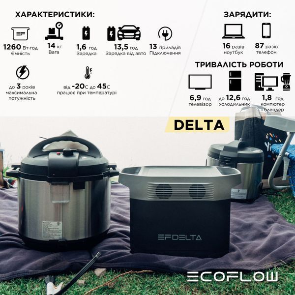 EcoFlow DELTA (1260 Вт&middot;год) EFDELTA1300-EU фото