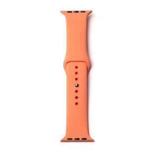 Ремінець Silicone Bands New Apple Watch 42/44/45/49mm AWB-SIL-04 фото