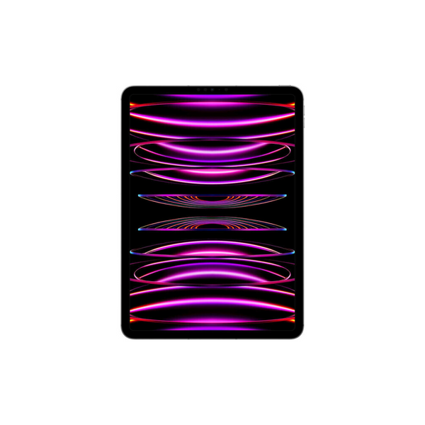 iPad Pro 11 2022 Wi-Fi 256GB Space Gray IPP1122256SGR-U фото