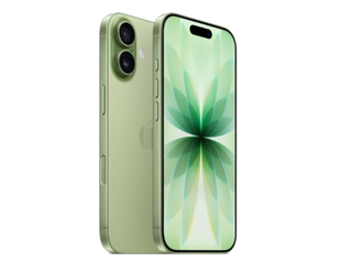 iPhone 17 256GB Sage (MG6N4) Global MONO000772NEW фото