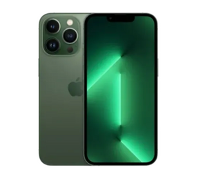 iPhone 13 Pro Max 1TB, Alpine Green, Як новий 13PM1TAGR-U фото